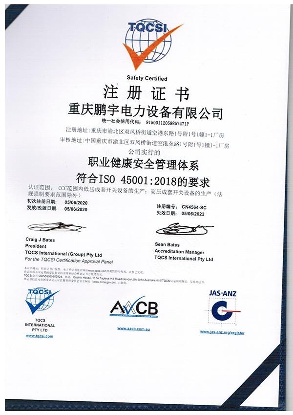 職業健康體系證書